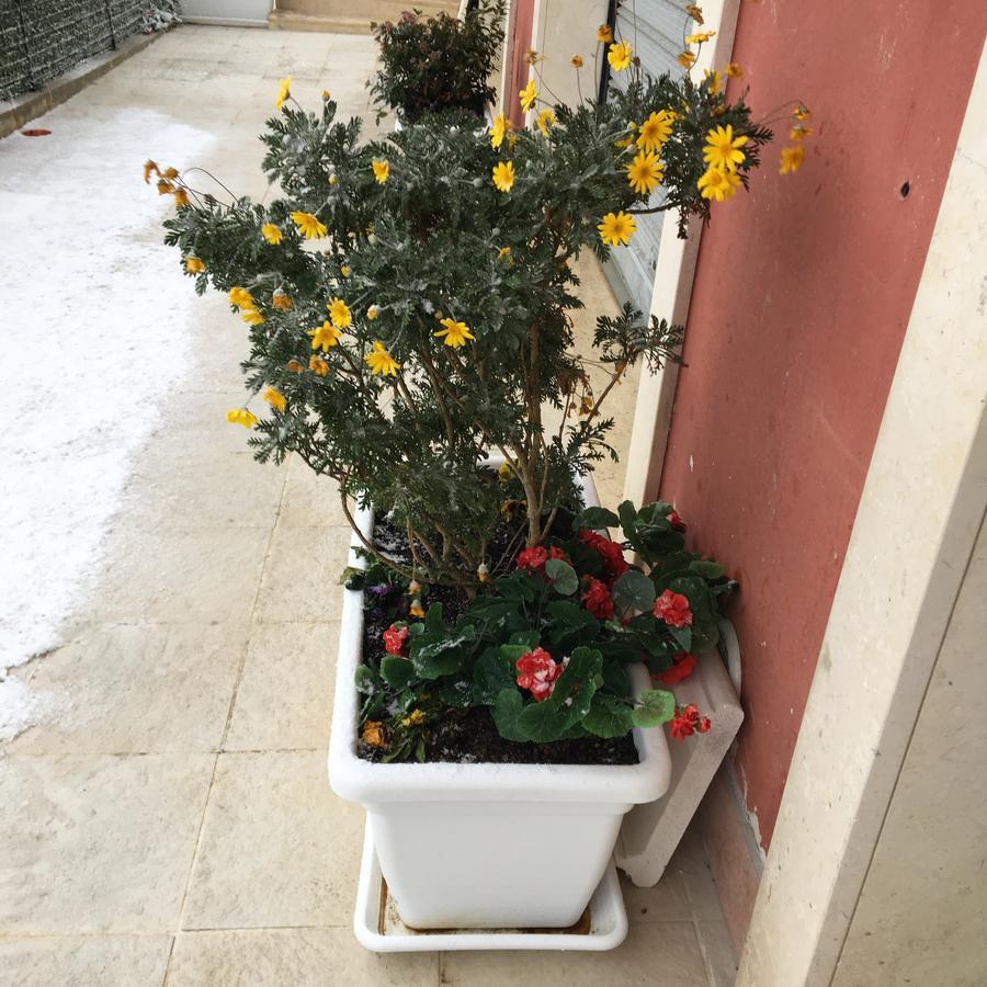 Amaranto Bnb Matera Exterior foto